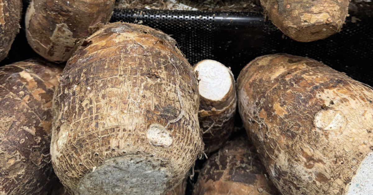 How I Fell In Love with Food (Again)